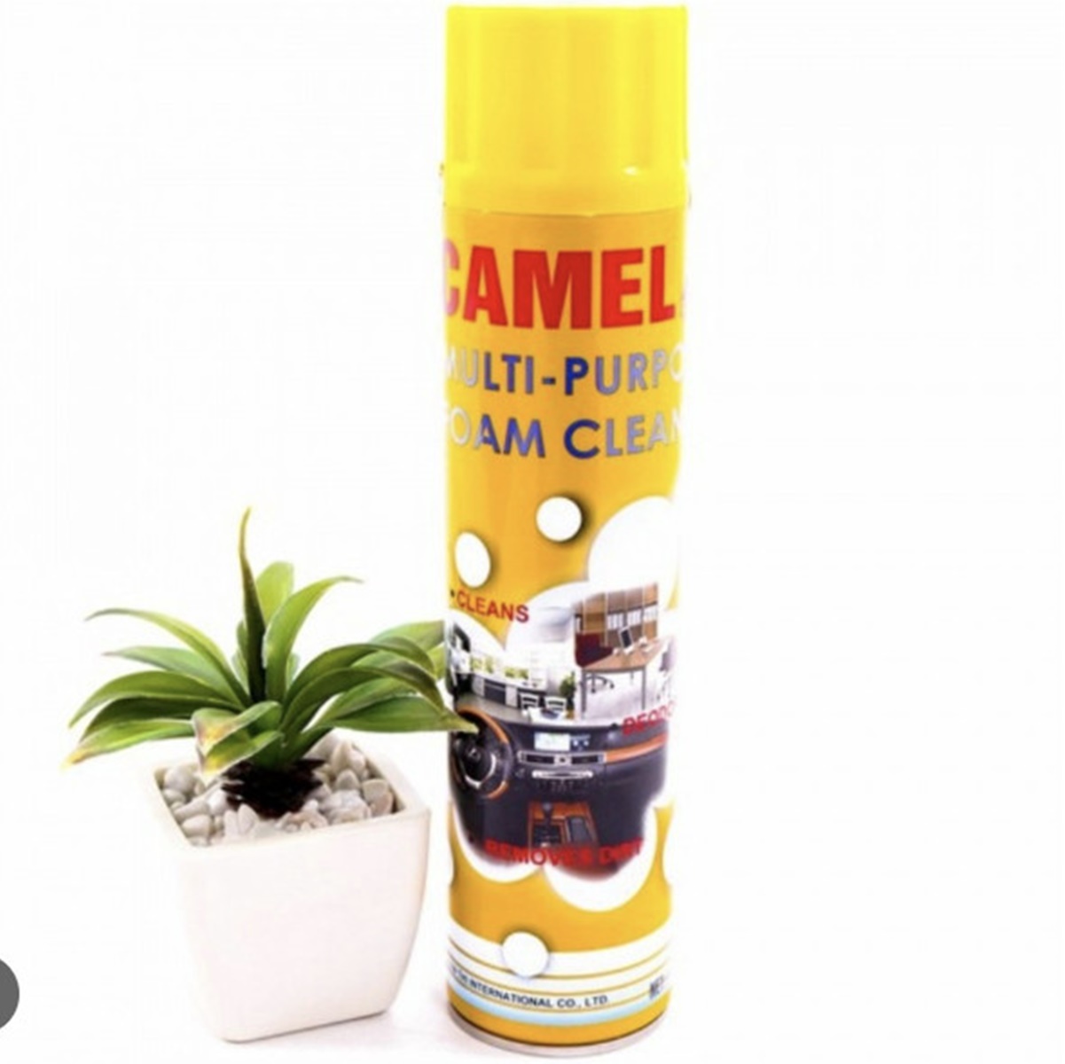 z4386787477955_c0f77981c48a9717d471340a7981e240